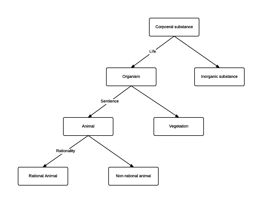 The Porphyrian tree for corporeal substances. Leaf nodes represent species and edges represent specific differences that divide each genus up.